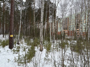 В Снежинске появится новый жилой комплекс «Балтийский»